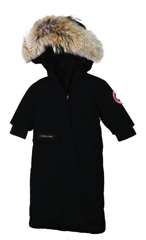 Snow Bunting Black Baby Canada Goose cheap